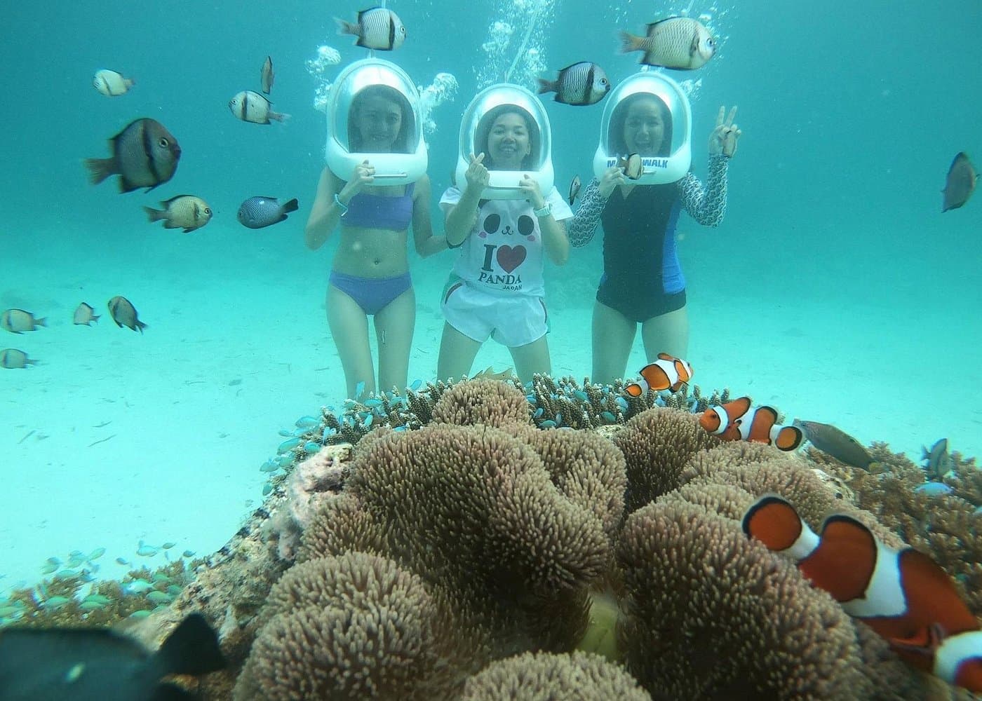 Boracay sunset sailing