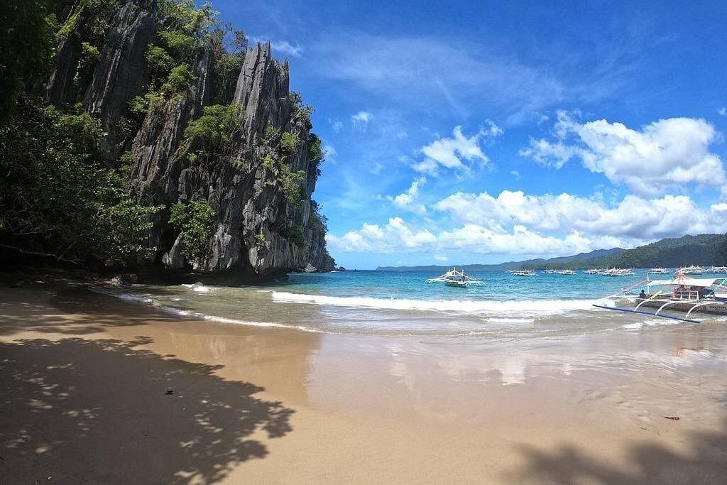 Puerto Princesa rainforest