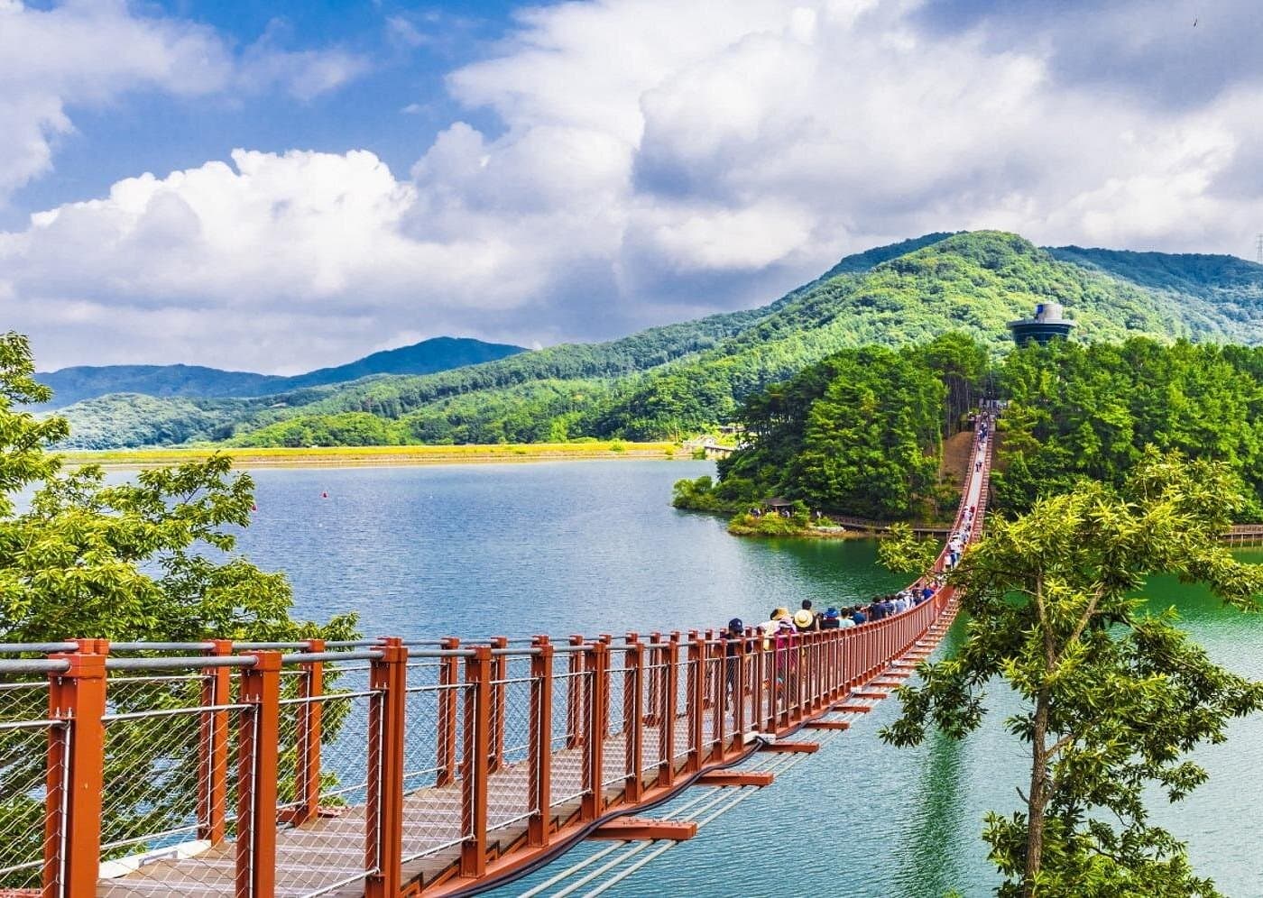 DMZ Insider Experience